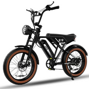 RCB 750W Electric Bike, 48V/15Ah Removable Li-Ion Battery