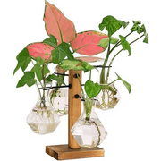 Finopo Plant Terrariums Kit Desktop Hydroponics Air Planter Holder