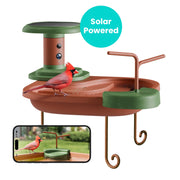Birdfy Smart Bird Bath with 1080P HD Camera, AI Bird Identification, Solar Powered, Weatherproof, Brown, Jolly V