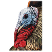 Avian-X HDR Heavy-Duty Realism Full-Body Strutter Turkey Decoy