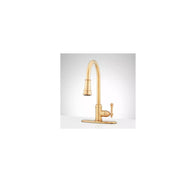 Signature Hardware 476858 Amberley Single Handle Pull Down Kitchen Faucet, Brushed Gold