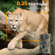 QUNSE HL-9036 Trail and Game Camera, 60MP Photos, 8K Video, 0.2s Trigger Speed, No-Glow Night Vision, 65ft Range