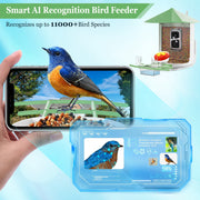 Naipo VN-DB09-08 Smart Bird Feeder Camera, Wireless Outdoor Bird Watching with 1080P Full HD, Night Vision, AI Bird Species Identification, Motion Detection, Two-Way Talk, Green