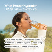 DryWater Hydration Powder (Electrolytes + Vitamins), Peach Mango, 0.39 Ounce (Pack of 6)