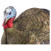 Avian-X AVX8012 LCD Half-Strut Jake Turkey Decoy