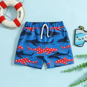 AJIWYH Toddler Beach Swimwear,Boys Swim Trunks, A6-Blue, 12-18 M