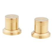 KNOB HDL F/ 4RT TRIM *LENTZ BG
