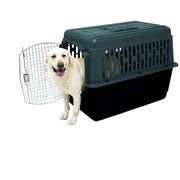 Aspen Pet 21184 40