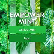 Sc Johnson Glade PlugIns Scented Oil Refills Empower Mint with Essential Oils, 0.67 oz, 2 Count