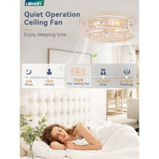 Zardon 20in Caged Ceiling Fan with Integrated LED Light, Remote Control, Reversible Motor, 6 Speeds, Flush Mount, White and Gold