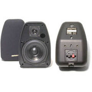 Bic America Adatto Dv52Si Adatto Indoor/Outdoor Speakers (Black)