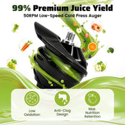 Bluebow Cold Press Masticating Juicer with 5.3-Inch Large Feed Chute, High Juice Yield, Quiet 150W Motor, Easy to Clean, Black, JS2311-13