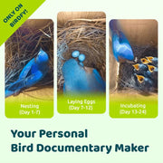 Birdfy Smart Bird House, Solar Powered 1080P HD Camera with Night Vision, Eco-Friendly Bamboo, Polygon Shape, Blue