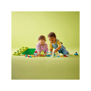 LEGO 10913 DUPLO Classic Brick Box Building Toy (65 Pieces)