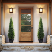 DR.Planzen Artificial Cedar Tree Plants Set of 2
