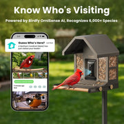 Birdfy Smart Metal Bird Feeder with Built-in Solar Panel and AI Camera