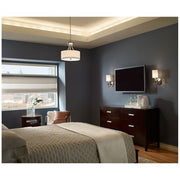 Sea Gull 75952962 Ceiling Light