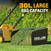 ZEGJAW Electric Dethatcher and Scarifier, 13 in Cutting Width, 12 Amp Motor, 4-Position Depth Adjustment, 30L Collection Bag