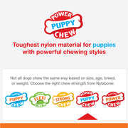 Nylabone Axis Puppy Power Chew Bone, Nylon, Vanilla Flavor, Small, 1 Count