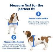 PetSafe Extreme Weather Plastic Pet Door, Energy-Saving Triple-Flap Thermal Barrier, Slide-In Locking Panel, Paintable White Frame, Large for Dogs up to 100 lb, ZPA00-16849