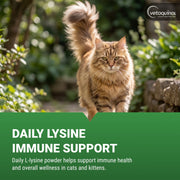 Vetoquinol Viralys L-Lysine Supplement for Cats, Immune Support, Eye and Respiratory Health, Flavored Lysine Powder, 600gm