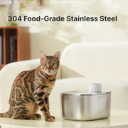 The KittySpout Wireless KittySpout Value Bundle
