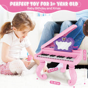Hot Bee J73-03 25-Key Butterfly Mirror Piano Toy with Microphone, Pink, for Toddlers and Kids