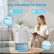 Kloudic Dehumidifier, 90 oz Portable Water Tank, Dual Semiconductor Cooling, Auto Defrost, Washable Filter, Quiet Sleep Mode, Timer, White, DH-CS22
