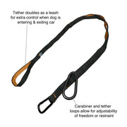 Kurgo Auto Zipline Dog Safety Leash, Adjustable Nylon Pet Tether, Black and Orange, 2-Piece Set, K00032
