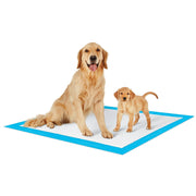 Petsworld PW2336EC-300 Puppy Training Pads 23 in x 36 in, 300 Count