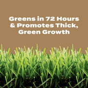 Scotts Turf Builder Weed & Feed for Texas Lawns, Granular Weed Killer and Fertilizer, 28-0-3 NPK, 22.4 lb, 8,000 sq ft Coverage, 52227