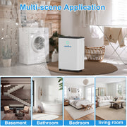 Airfire PD8R-03BE Dehumidifier, 19 Pint (DOE) Dehumidifier with Drain Hose
