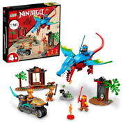 LEGO 6378909 Ninja Dragon Temple Toy Building Kit 161 Pieces, Multicolor