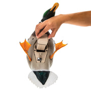 Avian-X AVXDP101 PowerFlight Mallard Drake Motorized Duck Decoy with Remote
