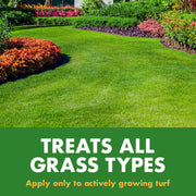 Spectracide Lawn Fertilizer 30-0-0 Liquid, 2-in-1 Nitrogen Formula, Ready-to-Spray, 32 oz, Covers 5,000 sq ft, HG-97456