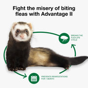 Advantage II Topical Flea Treatment for Ferrets 1+ lbs, Vet-Recommended, Fragrance-Free, Waterproof, 2-Month Supply, 86458101