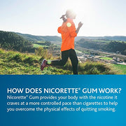 Nicorette Nicotine Gum Original 2 milligram Stop Smoking Aid 170 count