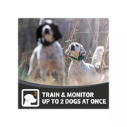 SportDOG FieldSentinel 825 Electronic Dog Training Collar with Health Monitoring, Waterproof, Half-Mile Range, Black, 1 Dog
