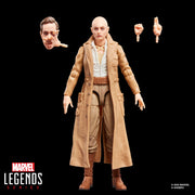 Hasbro Marvel Legends Cassandra Nova 6-Inch Action Figure with Movie-Accurate Design and Accessories G23705X0