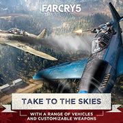 Ubisoft Far Cry 5 Standard Edition (PlayStation 4)