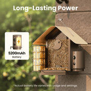 Birdfy Smart Bird Feeder with 1080P HD Camera, 60FPS Video, AI Bird Identification, Night Vision, Cloud Storage, Suet Holder, Brown