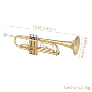 Ktaxon Bb Standard Trumpet Set, Gold Lacquer Brass, 3-Valve Beginner Trumpet with 7C Mouthpiece and Protective Case