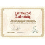 Hamilton Hills Black Framed Wall Mirror, 30 x 40 Inch, Large Modern Rectangular Floating Glass Panel, Solid Wood Backing, Versatile Horizontal or Vertical Mounting