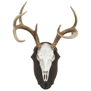 Mountain Mike's Europlaque Desk and Wall Display