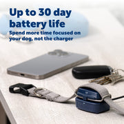 PetSafe GPS Dog Tracker, Real-Time Location Tracking, Escape Alerts, Activity Monitoring, Blue, PTK00-18270