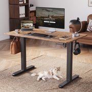 Innovar Electric Standing Desk, 48 Inch, 24