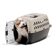 Petmate 21863 Vari Small Plastic Portable Dog Kennel Airline Friendly Pet Carrier, 24