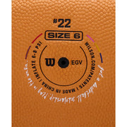 Wilson Caitlin Clark EVO NXT 3951 Indoor Basketball, Micro-Touch Composite Leather, Orange, Size 6, 28.5 in