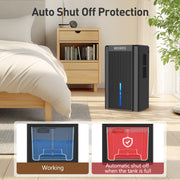 BEDRED Dehumidifier, 95Oz Capacity, Thermoelectric Cooling, Automatic Shutoff, Sleep Mode, 7-Color Ambient Light, Black, CT11