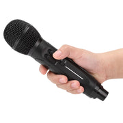 YOUTHINK Home Karaoke Speaker With Two Microphone, Black - Easy to Carry